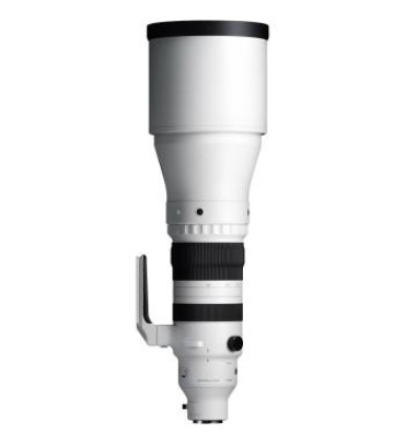 Sigma 300-600mm f/4 DG OS Sports Lens (Sony E)