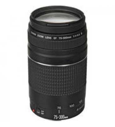 Canon Zoom Telephoto EF 75-300mm f/4.0-5.6 III Autofocus Lens