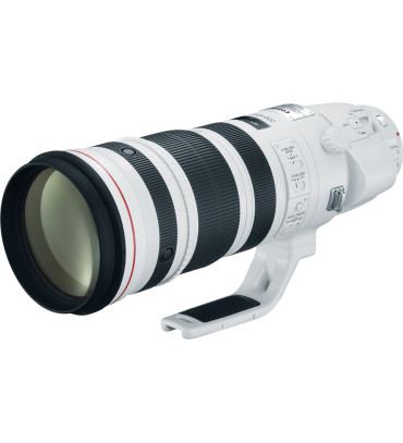 Canon EF 200-400mm f/4L IS USM Extender 1.4x Lens