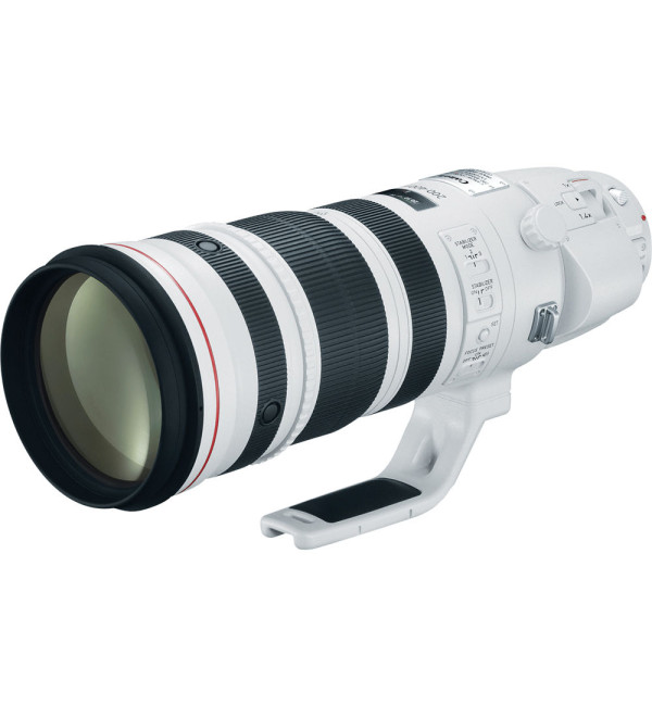 Canon EF 200-400mm f/4L IS USM Extender 1.4x Lens