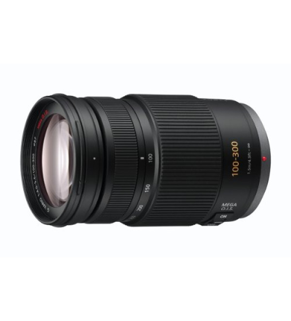 Panasonic H-FS100300E Lumix G Telezoom Lens (100-300 mm, F4-5.6 O.I.S)
