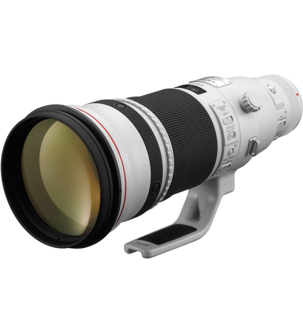 Canon EF 500mm f/4L IS II USM Lens