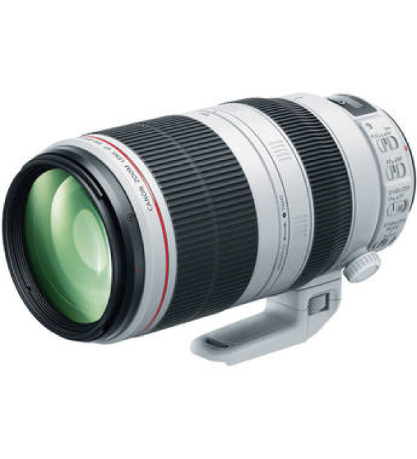 Canon EF 100-400mm f/4.5-5.6L IS II USM Lens