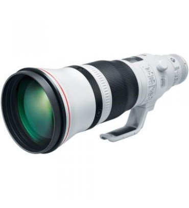 Canon EF 600mm f/4L IS III USM Lens