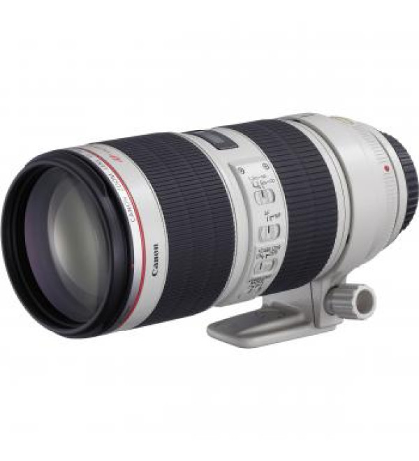 Canon EF 70-200mm f/2.8L IS II USM Telephoto Zoom Lens
