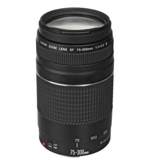 Canon EF 75-300mm f/4-5.6 III Lens
