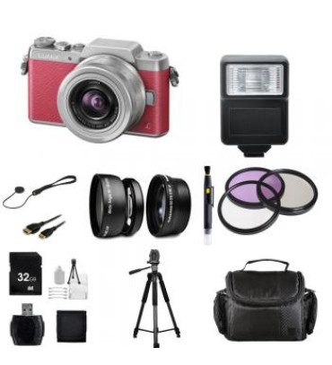 Panasonic Lumix DMC-GF7 Mirrorless Micro Four Thirds Digital Camera with 12-32mm f/3.5-5.6 ASPH. Lens (Pink and Silver) + Professional Photographers Bundle