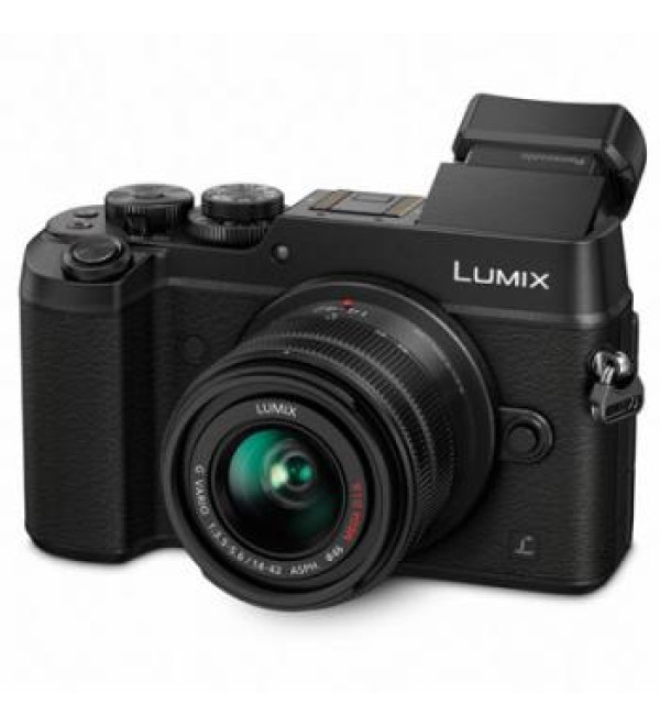 Panasonic Lumix DMC-GX8 Digital Camera with 14-42mm Lens (Black)