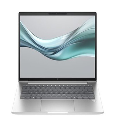 HP EliteBook 645 14 inch G11 Notebook PC Wolf Pro Security Edition AMD Ryzen™ 7 7735U Laptop 35.6 cm (14") Touchscreen WUXGA 64 GB DDR5-SDRAM Wi-Fi 6E (802.11ax) Windows 11 Pro