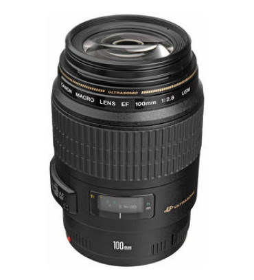 Canon EF 100mm f/2.8 Macro USM Lens